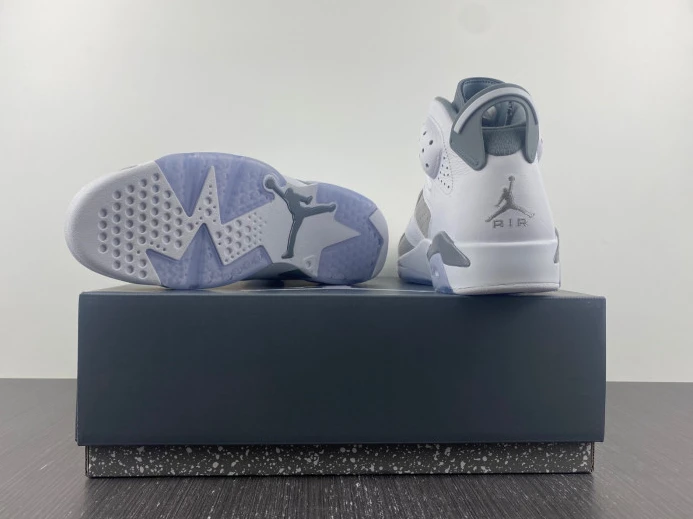 Air Jordan 6 Cool Grey CT8529- SportInspired 614