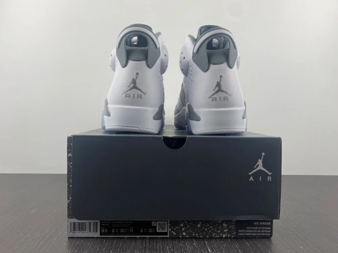 Air Jordan 6 Cool Grey CT8529- SportInspired 614