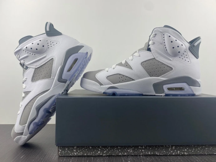 Air Jordan 6 Cool Grey CT8529- SportInspired 614