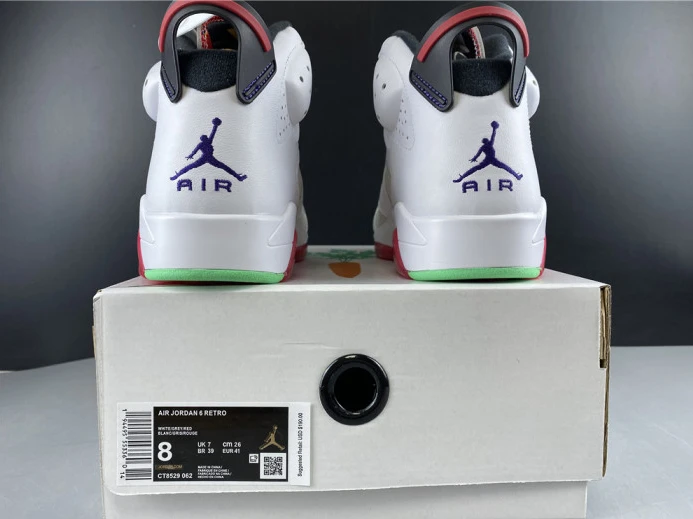 Air Jordan 6 Hare CT8529- Trendy 1093