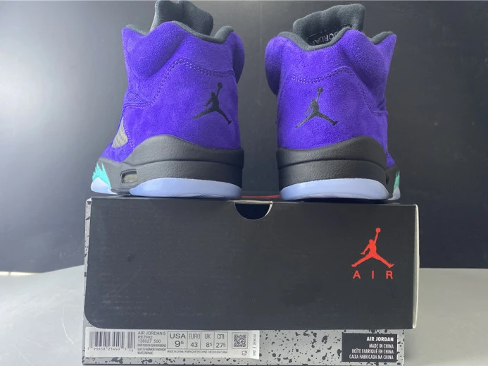 AllSeason air jordan 5 alternate grape 136027- 1837