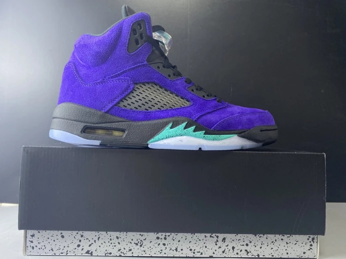 AllSeason air jordan 5 alternate grape 136027- 1837