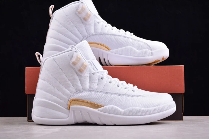 BestValue air jordan 12 wmns "phantom" fd9101- 1395