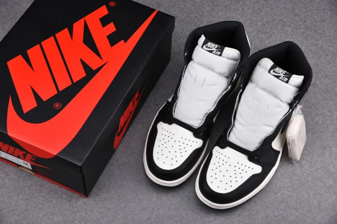 DailyWear AIR JORDAN 1 RETRO HIGH DARK MOCHA 555088- 843