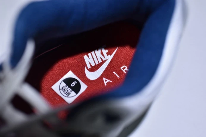 DailyWear Air Jordan 3 Retro True Blue Nike Air First Look 854262- 970