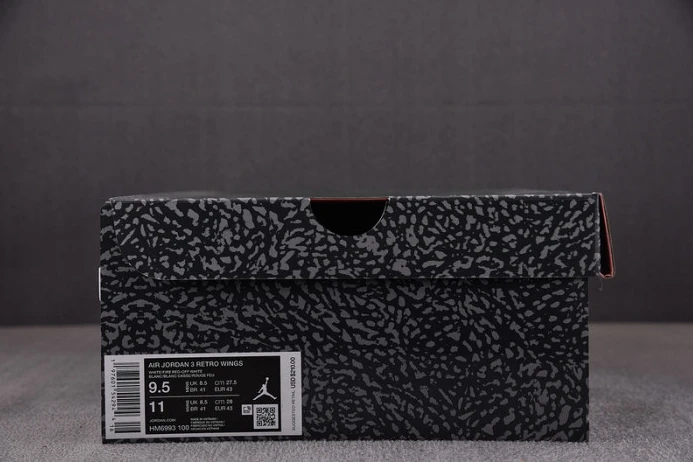 DailyWear Jordan 3 Retro Wings HM6993- 509