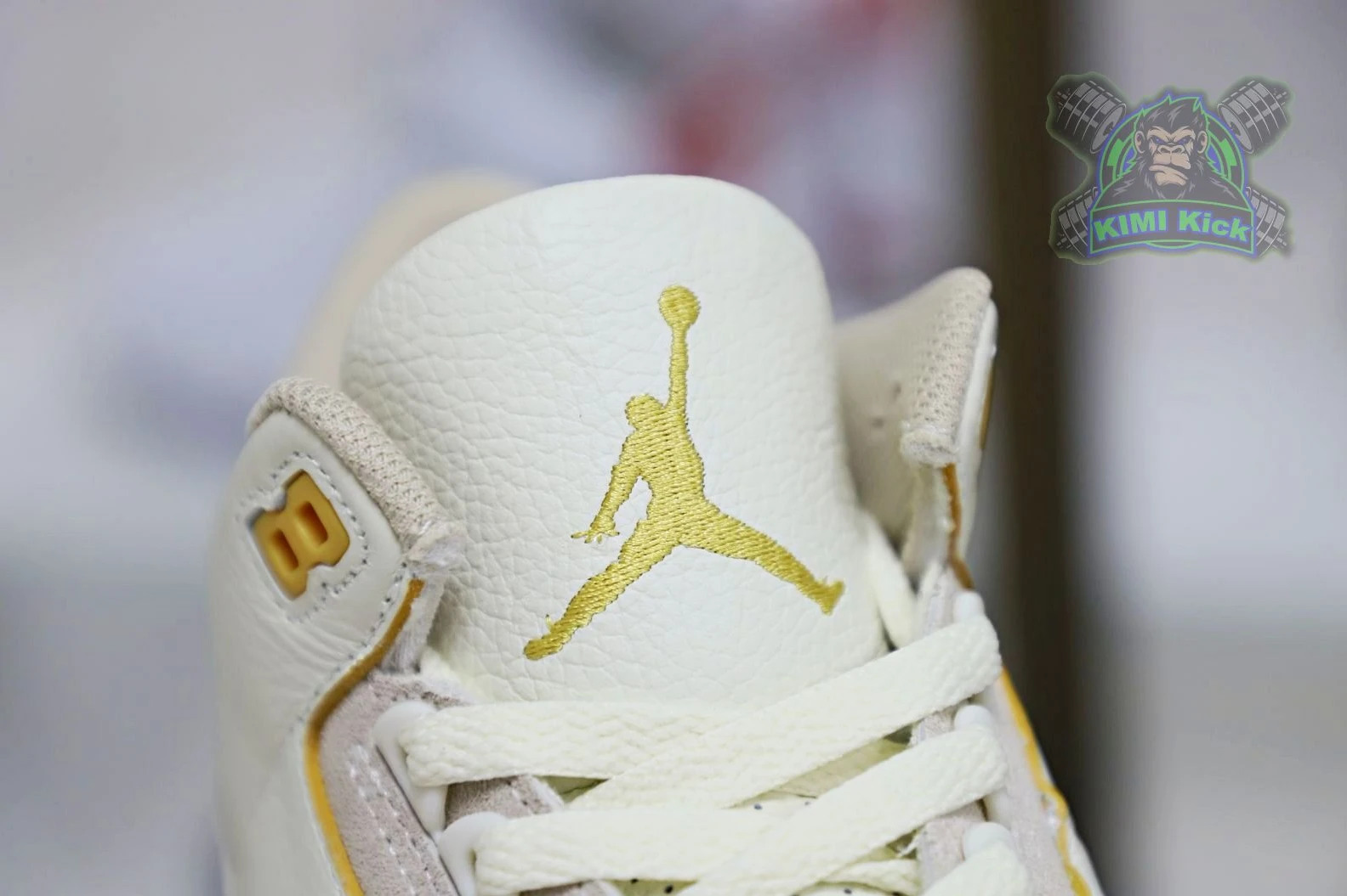 EasyMatch Kimikick JBalvin x Jordan Air Jordan 1895
