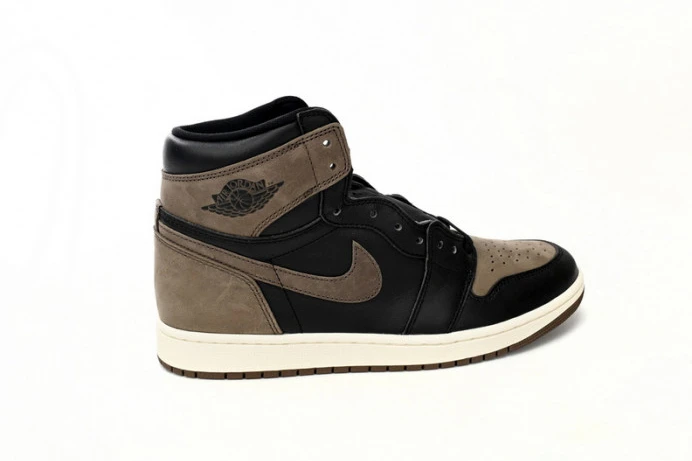 GoAnywhere Air Jordan 1 High OG Palomino DZ5485- 756