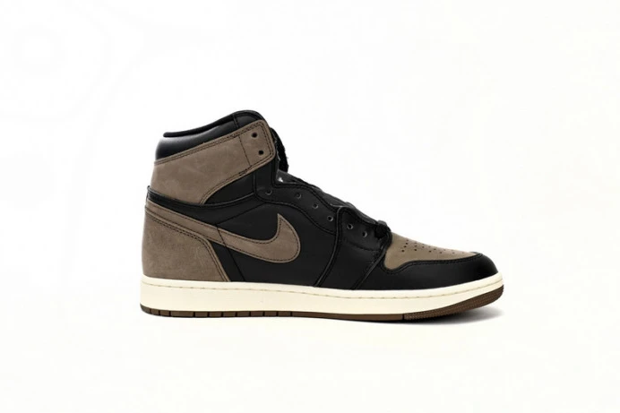 GoAnywhere Air Jordan 1 High OG Palomino DZ5485- 756