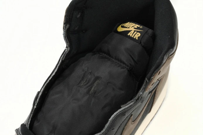 GoAnywhere Air Jordan 1 High OG Palomino DZ5485- 756