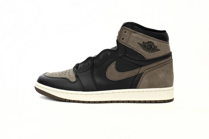 GoAnywhere Air Jordan 1 High OG Palomino DZ5485- 756