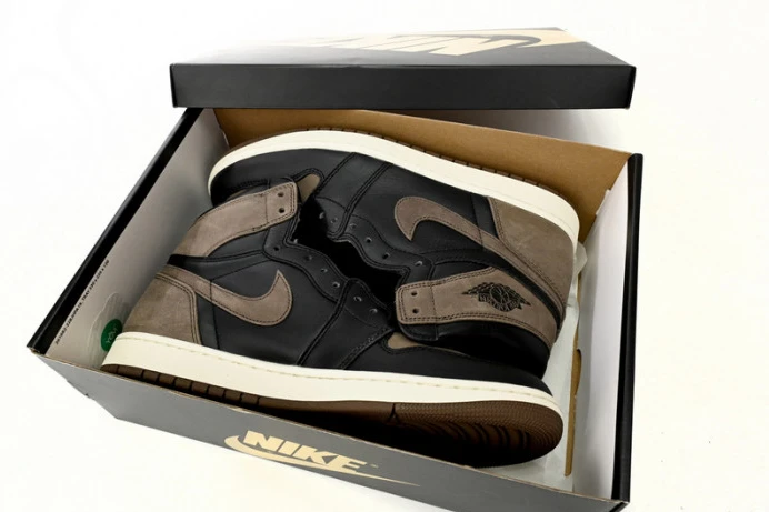 GoAnywhere Air Jordan 1 High OG Palomino DZ5485- 756