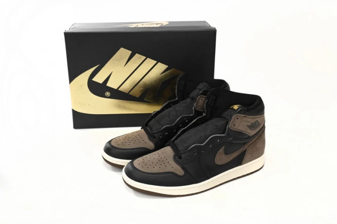 GoAnywhere Air Jordan 1 High OG Palomino DZ5485- 756