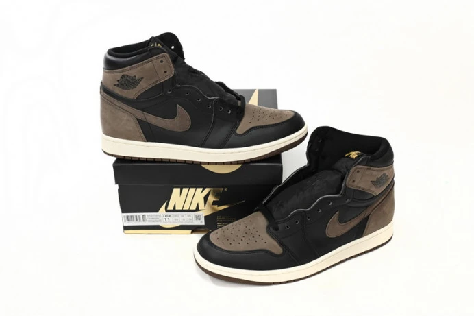 GoAnywhere Air Jordan 1 High OG Palomino DZ5485- 756