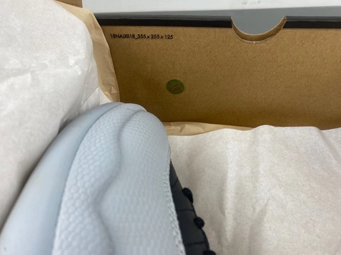 GoAnywhere Air Jordan 12 Barons CT8013- 665