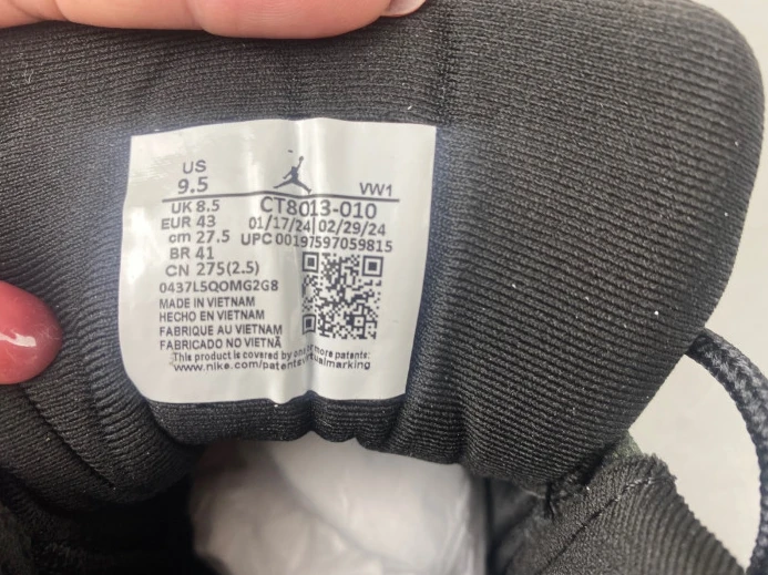 GoAnywhere Air Jordan 12 Barons CT8013- 665