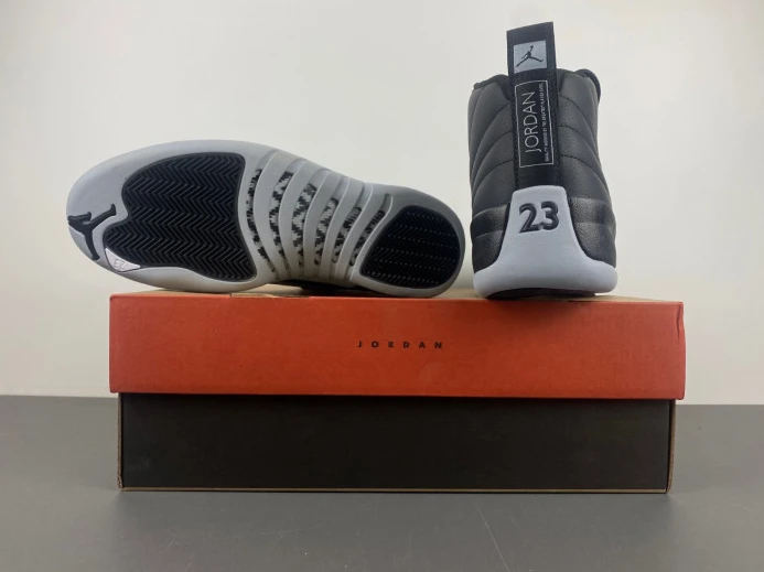 GoAnywhere Air Jordan 12 Barons CT8013- 665