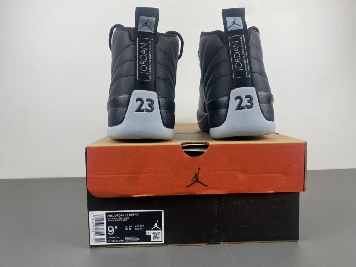 GoAnywhere Air Jordan 12 Barons CT8013- 665