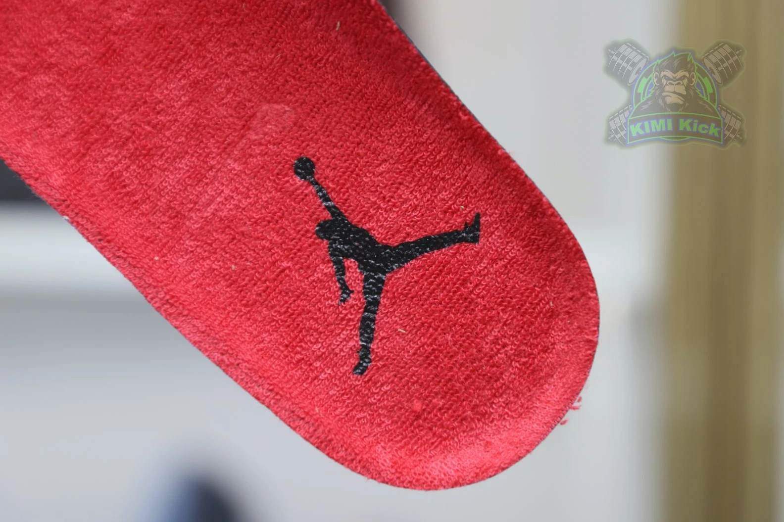 GoAnywhere Kimikick Jordan Air Jordan4 RetroToro Bravo 1889