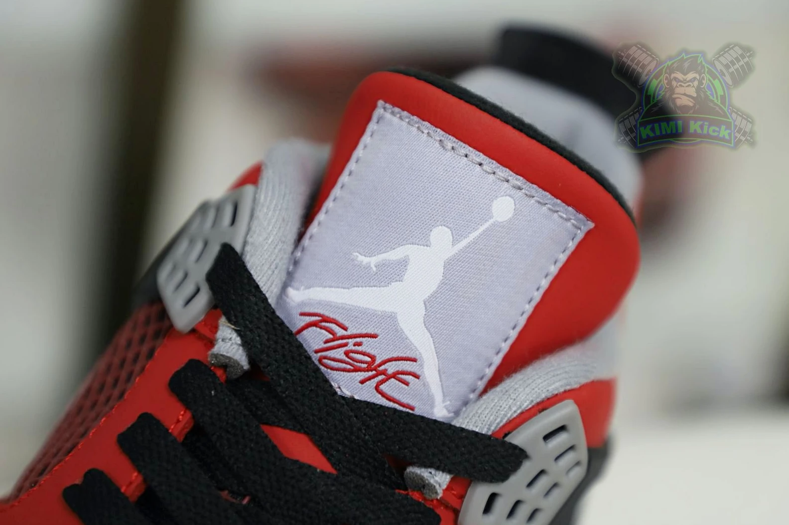 GoAnywhere Kimikick Jordan Air Jordan4 RetroToro Bravo 1889