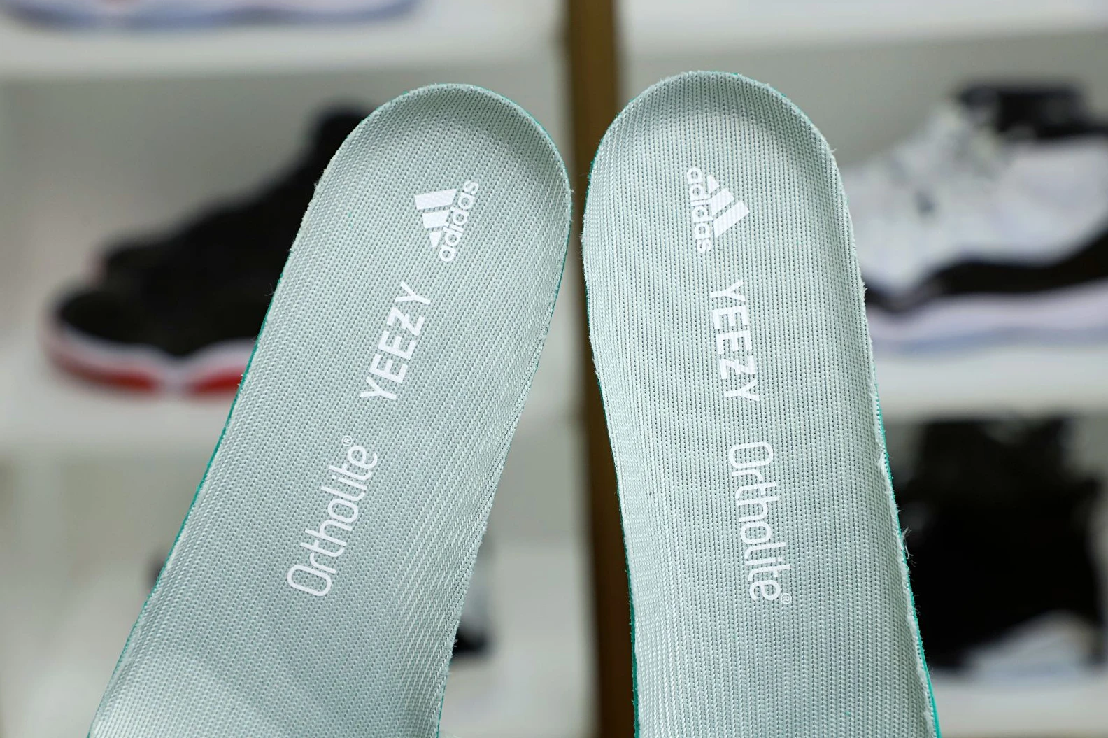 GoAnywhere Kimikick yeezy500 EE 22
