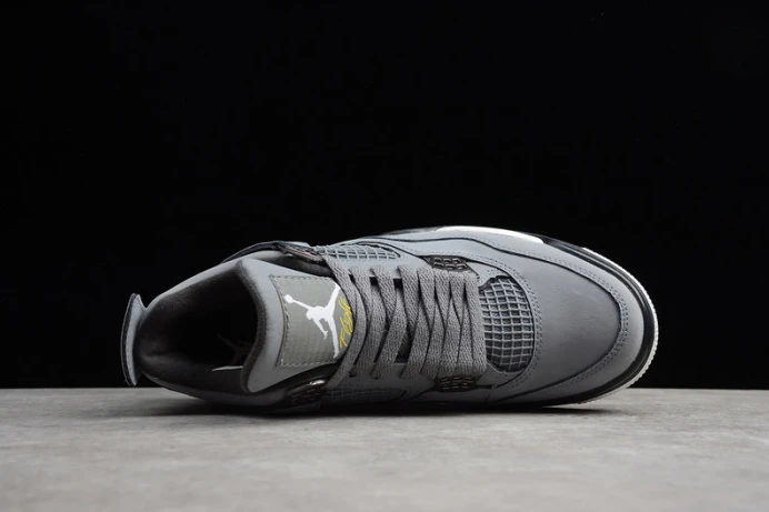 GoAnywhere air jordan 4 ''cool grey'' 2019 308497- 1750