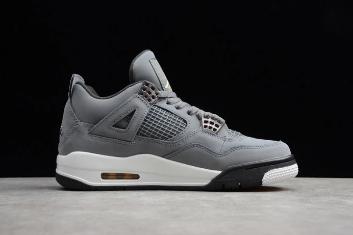 GoAnywhere air jordan 4 ''cool grey'' 2019 308497- 1750