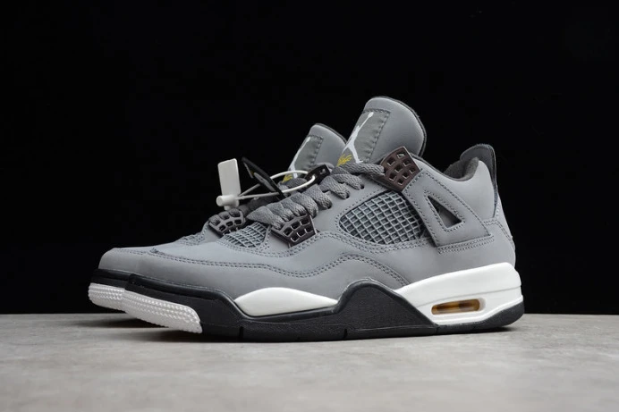 GoAnywhere air jordan 4 ''cool grey'' 2019 308497- 1750