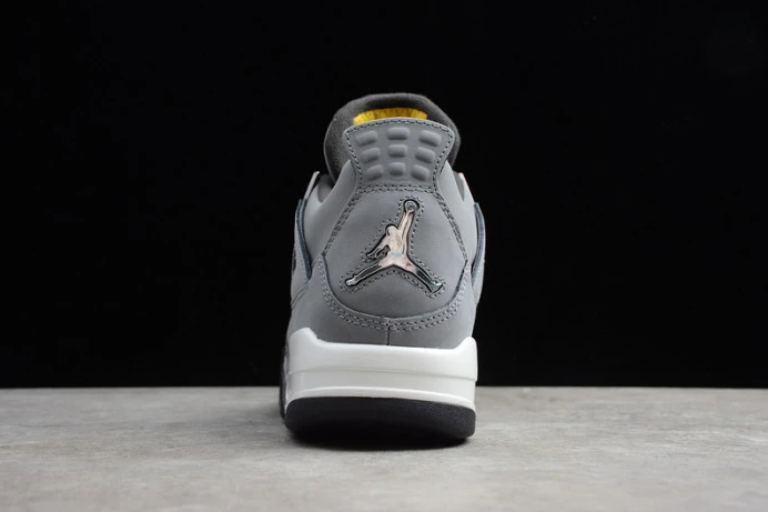 GoAnywhere air jordan 4 ''cool grey'' 2019 308497- 1750