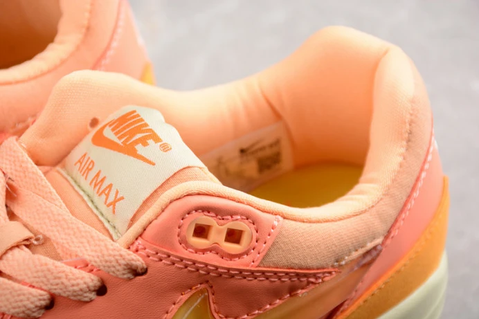 GoAnywhere nike air max 1 puerto rico orange frost fd6955- 3333