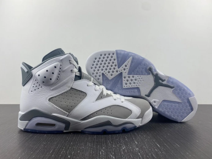 GoodFit air jordan 6 “cool grey” ct8529- 1543