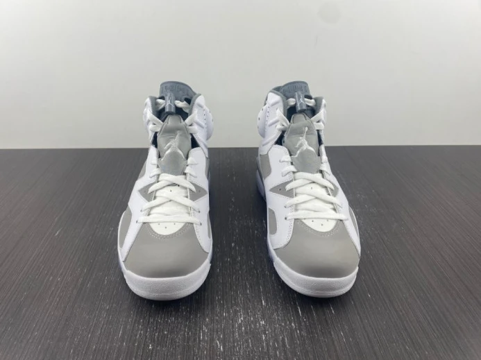 GoodFit air jordan 6 “cool grey” ct8529- 1543