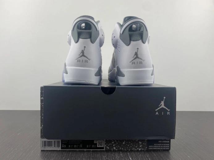 GoodFit air jordan 6 “cool grey” ct8529- 1543