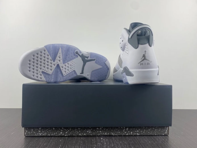 GoodFit air jordan 6 “cool grey” ct8529- 1543
