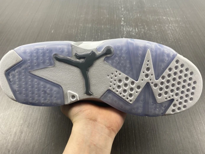 GoodFit air jordan 6 “cool grey” ct8529- 1543