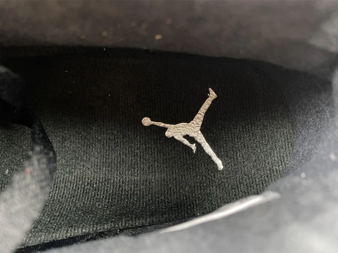 HighQuality Air Jordan 6 Metallic Silver DX2836- 604