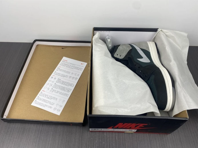 Jordan 1 Retro High Element Gore-Tex Black Particle Grey DB2889- BestValue 801