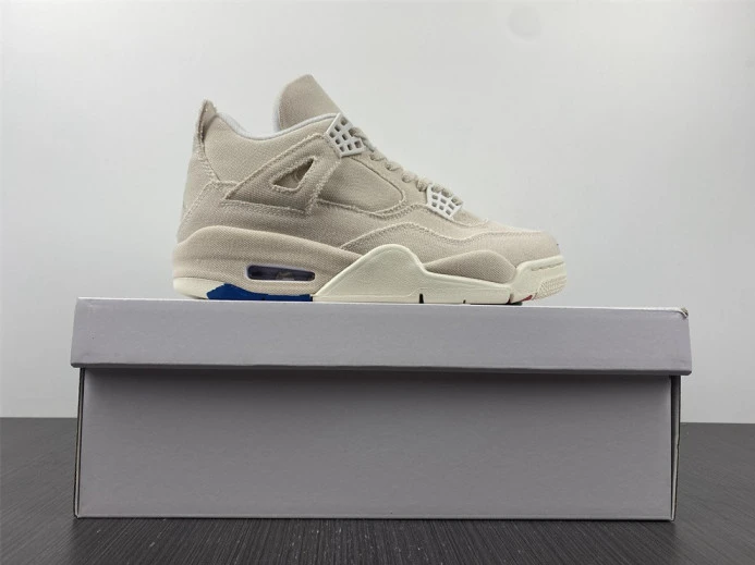 Jordan 4 Retro Blank Canvas (W) DQ4909- Affordable 1029
