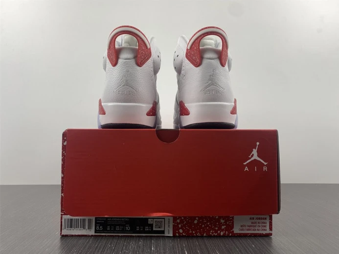Jordan 6 Retro Hare CT8529- EasyMatch 579