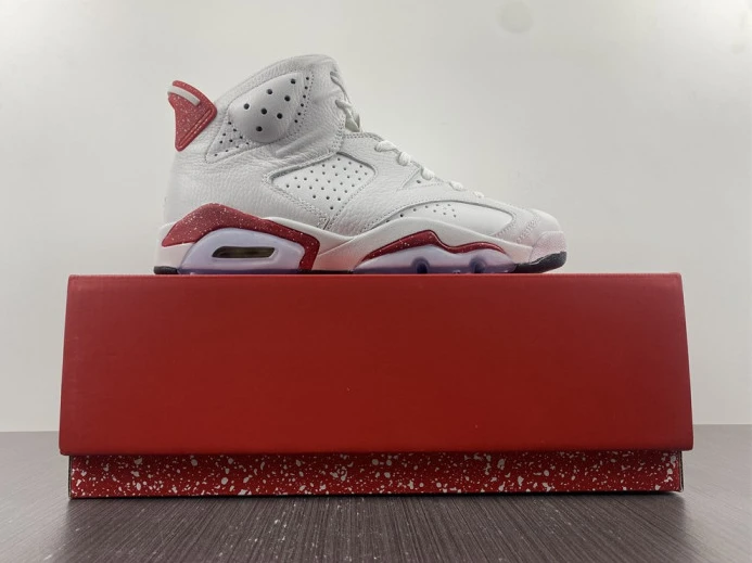 Jordan 6 Retro Hare CT8529- EasyMatch 579