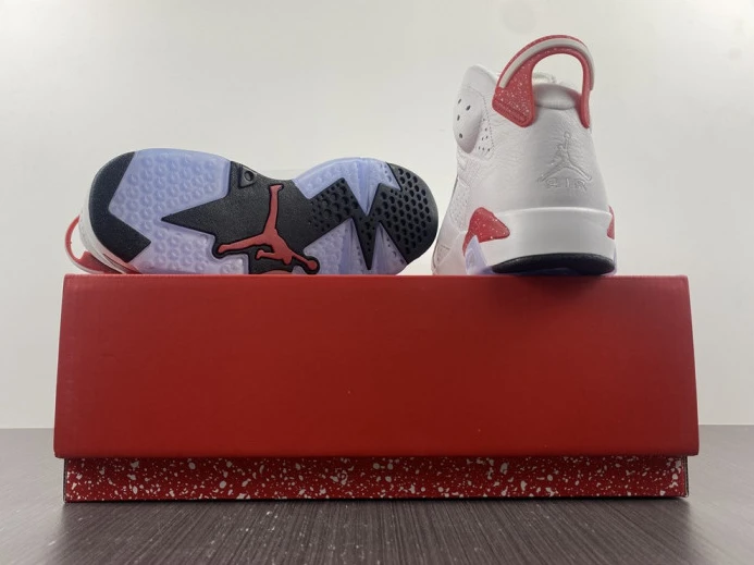 Jordan 6 Retro Hare CT8529- EasyMatch 579