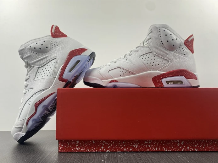 Jordan 6 Retro Hare CT8529- EasyMatch 579