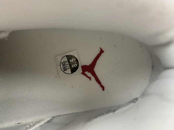 Jordan 6 Retro Hare CT8529- EasyMatch 579