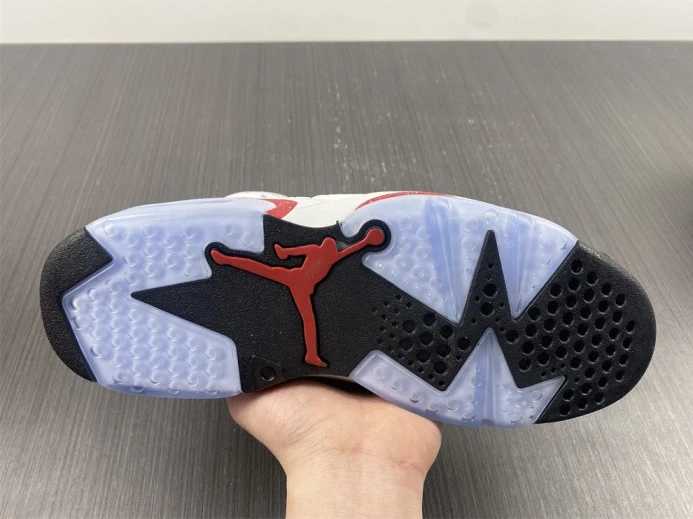 Jordan 6 Retro Hare CT8529- EasyMatch 579