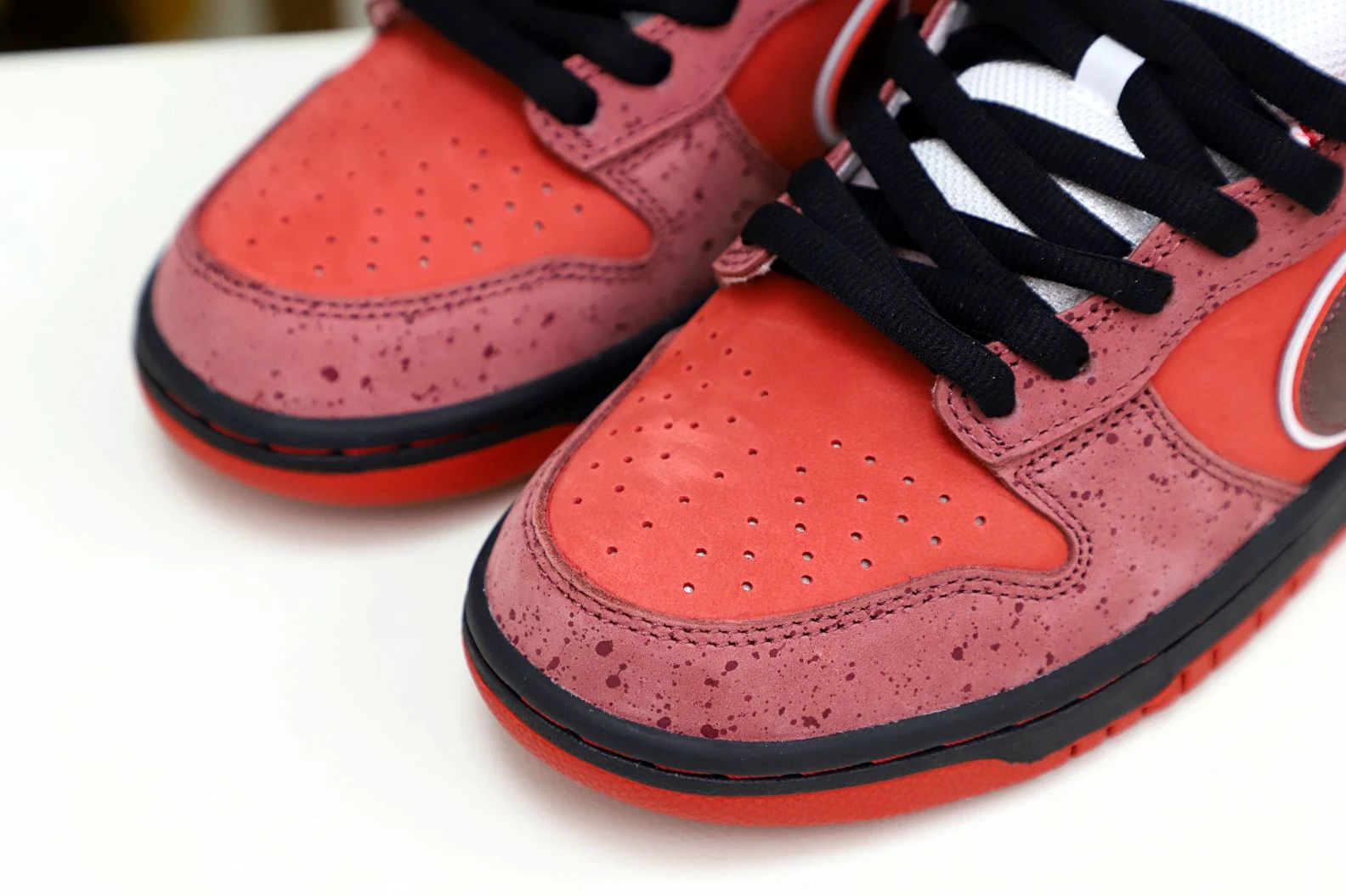 Kimikick Concepts x Nike Dunk SB Low Red Lobster Popular 3477