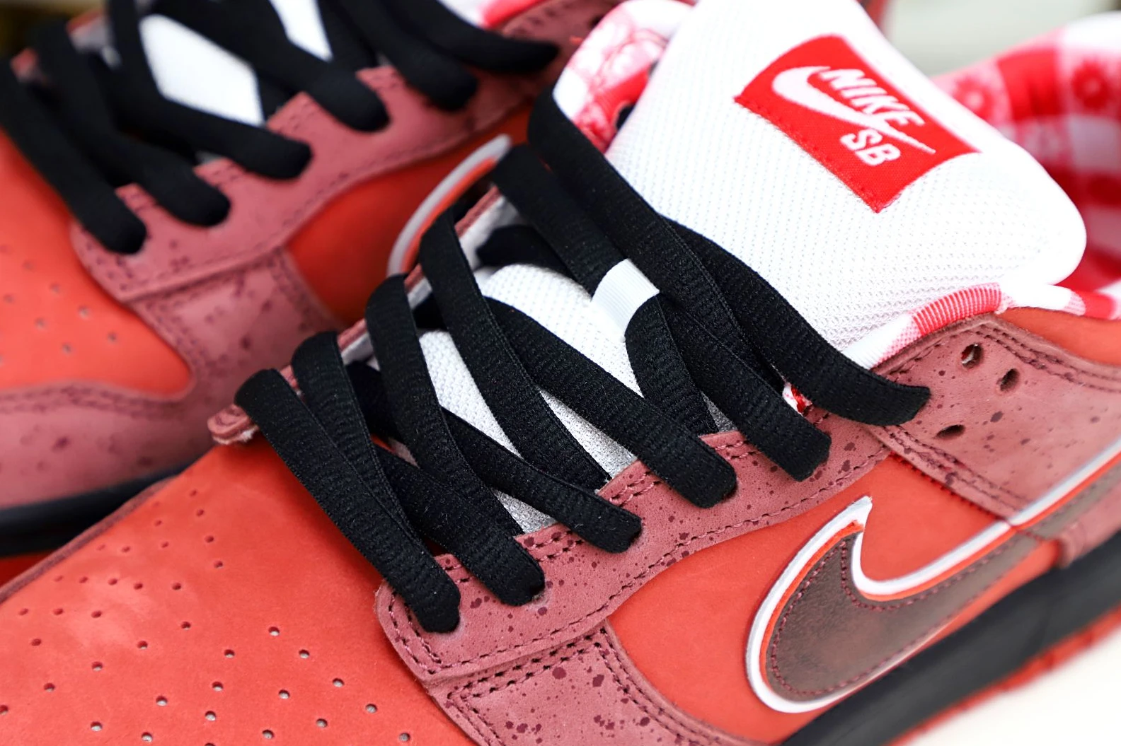 Kimikick Concepts x Nike Dunk SB Low Red Lobster Popular 3477