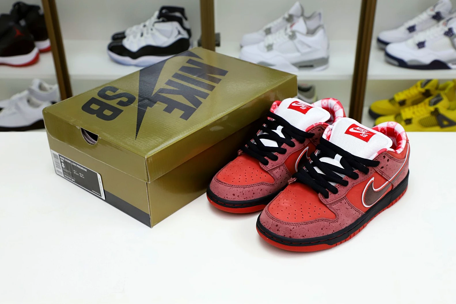 Kimikick Concepts x Nike Dunk SB Low Red Lobster Popular 3477