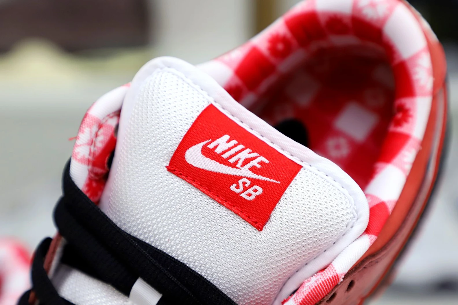 Kimikick Concepts x Nike Dunk SB Low Red Lobster Popular 3477