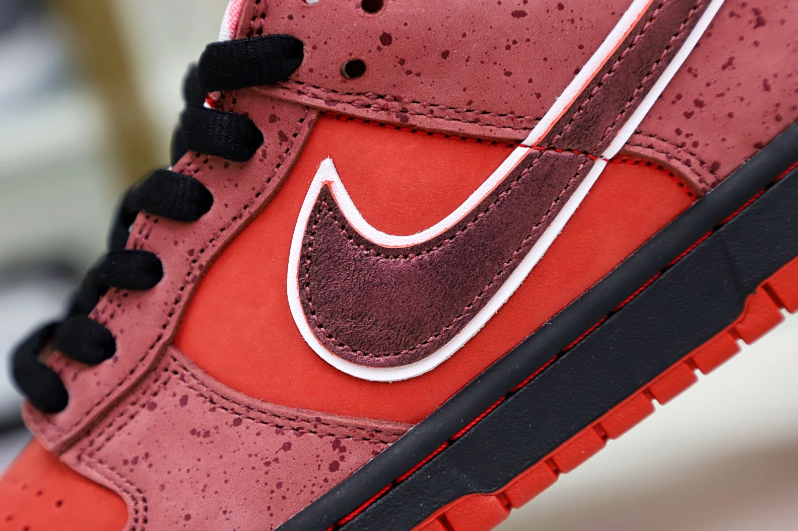 Kimikick Concepts x Nike Dunk SB Low Red Lobster Popular 3477