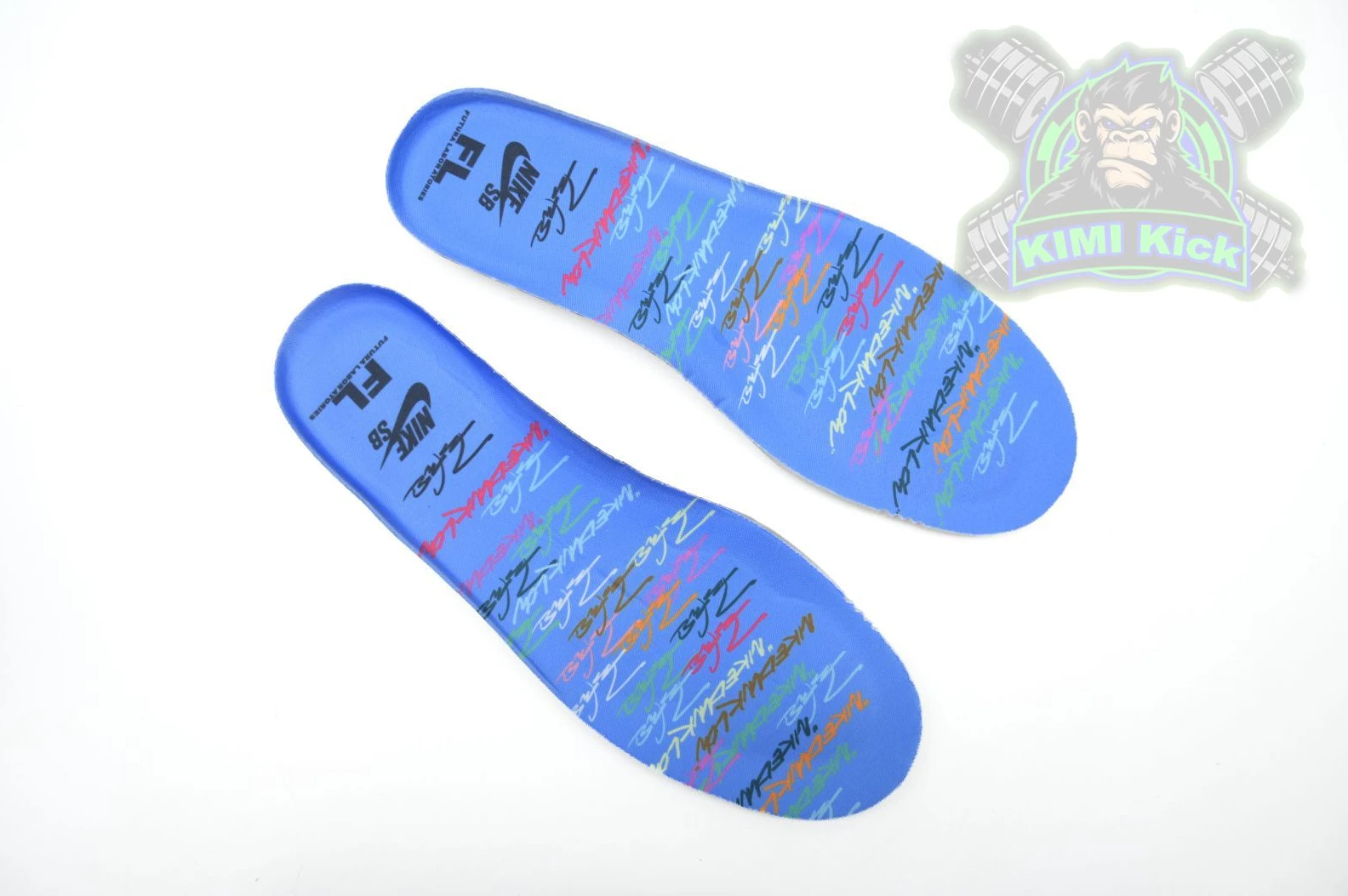 Kimikick Futura Laboratories x Nike Dunk SB StreetReady 3397